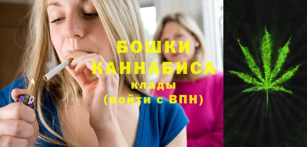 метадон Вяземский