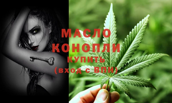 крисы Верхний Тагил