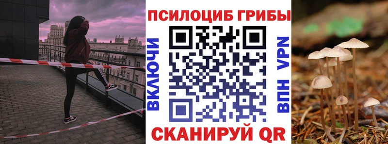 Псилоцибиновые грибы ЛСД Купить Новотроицк